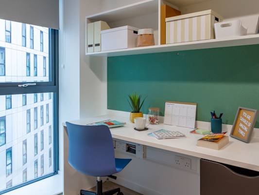 Skyline Platinum Studio room type